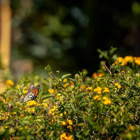 Monte Santo Estevao 别墅